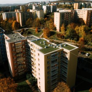 Zelené střechy v Brně jedou. Sklízí jeden úspěch za druhým.