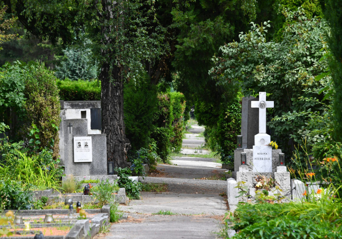 Cesty na Ústředním hřbitově budou zadržovat srážkovou vodu